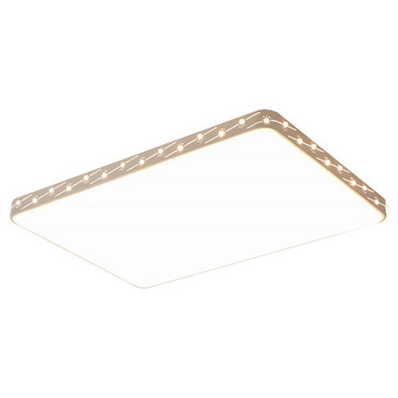 Modern Ceiling Light