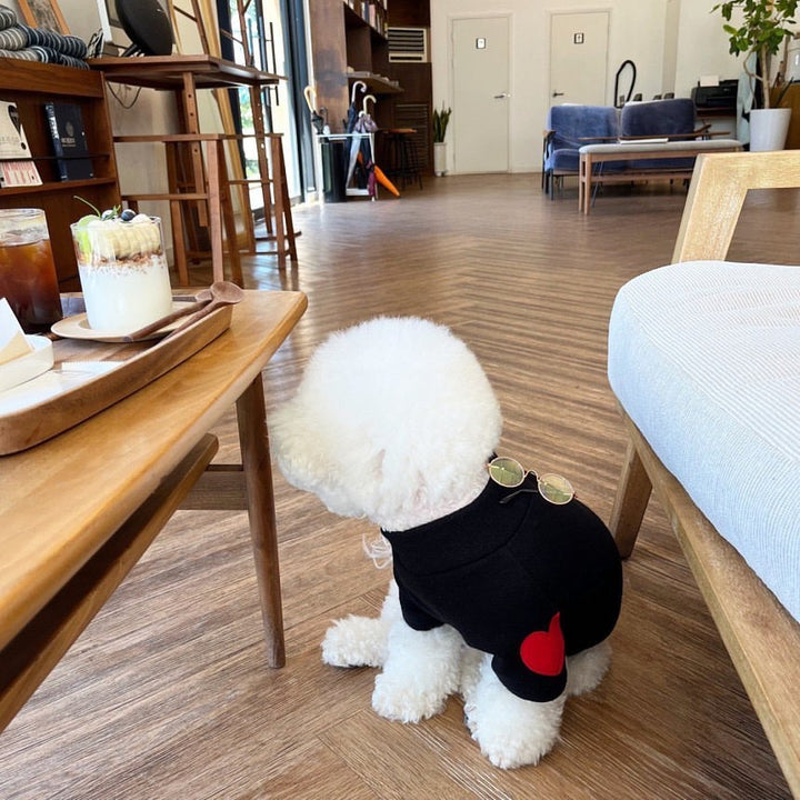 Fleece-Lined Dog Sweater with Heart El Patch