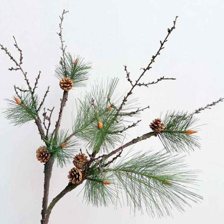 Decorative Pinecone Arrangement