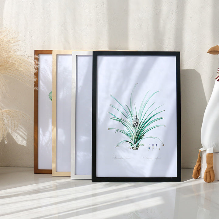 Elegant Framed Botanical Art Display