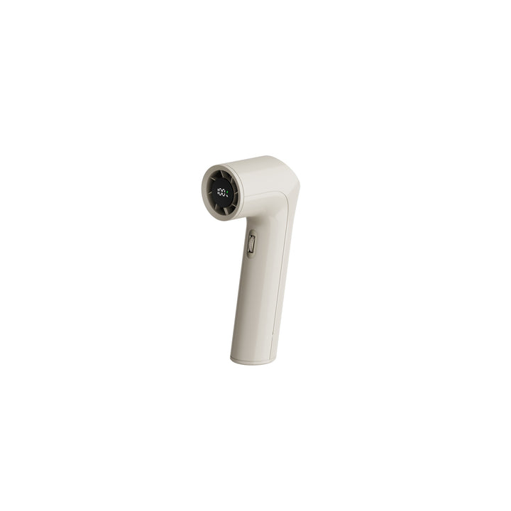 Portable Garment Steamer Stornfield