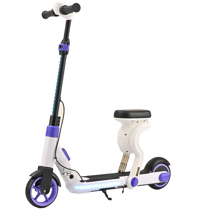Electric Folding Kick Scooter Stornfield