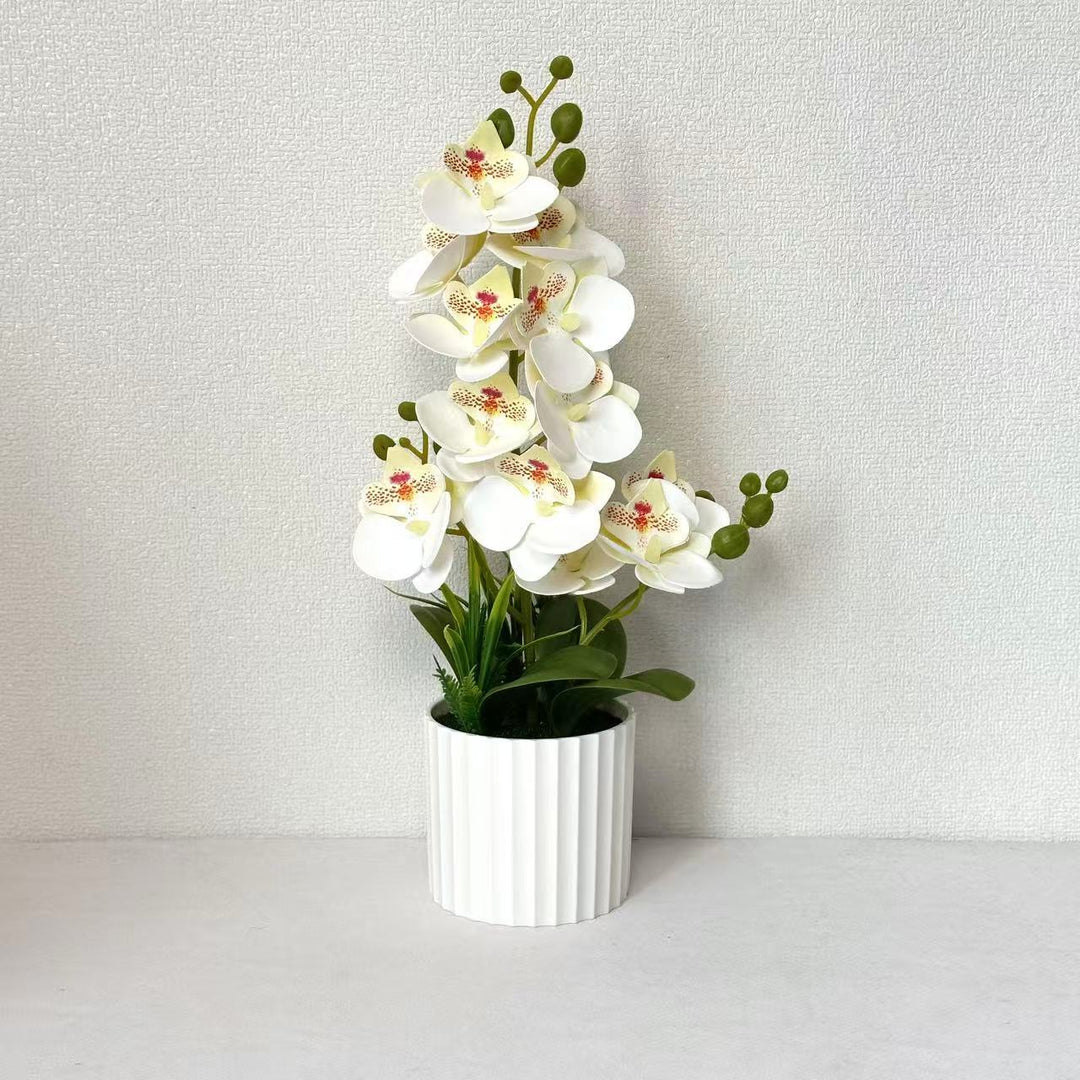 Realistic Indoor Orchid Plant Arrangement