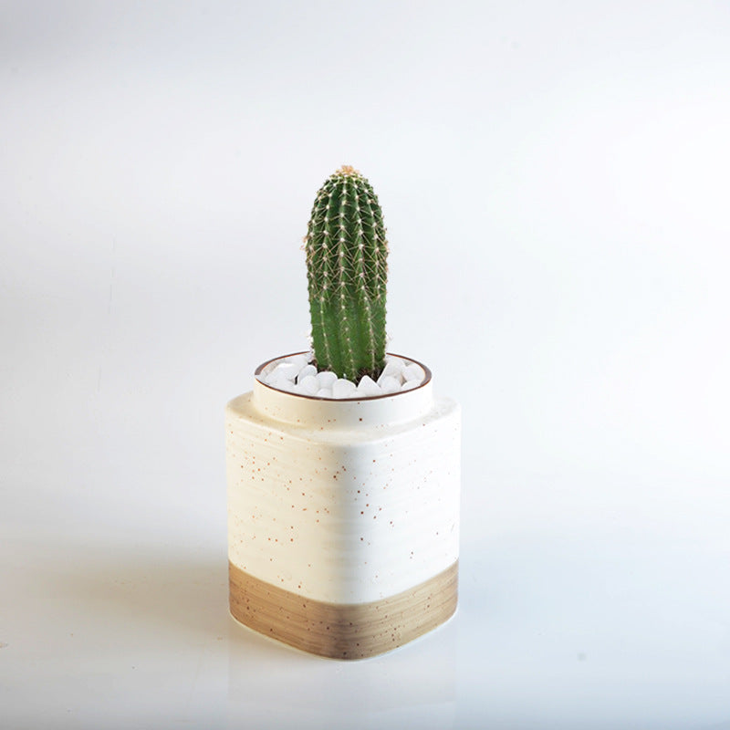Decorative ceramic container Stornfield