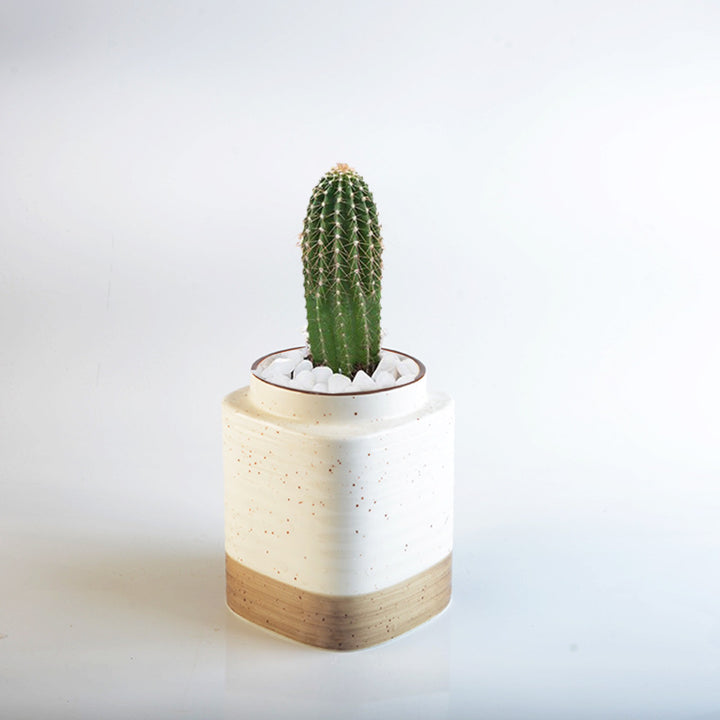 Decorative ceramic container Stornfield