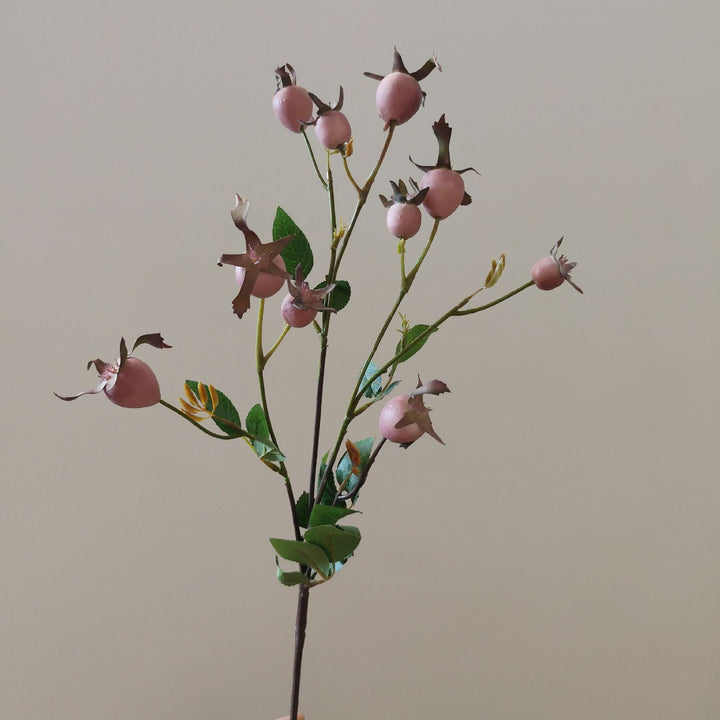 Decorative Natural Dried Floral Stem