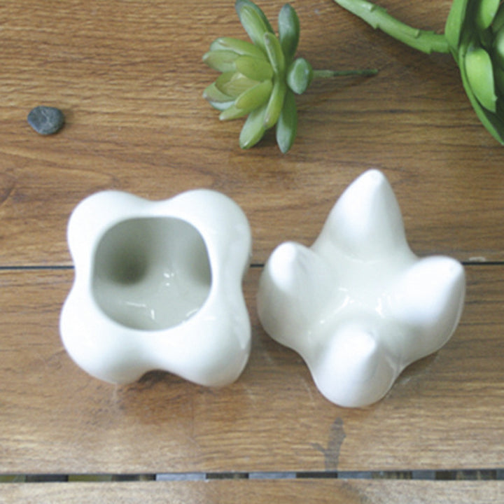Creative Tooth-Shaped Planter Stornfeild