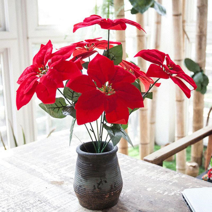 Decorative Poinsettia Plant Arrangement Stornfield
