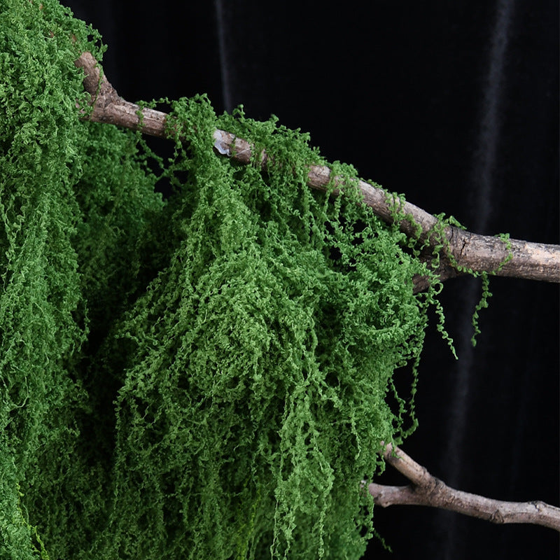 Decorative Greenery Moss Arrangement