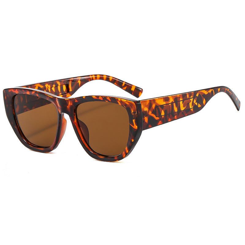 Women's trendy sunglasses in innovative Cat-Eye design Stornfield