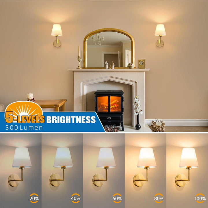Wall Mounted Lamp