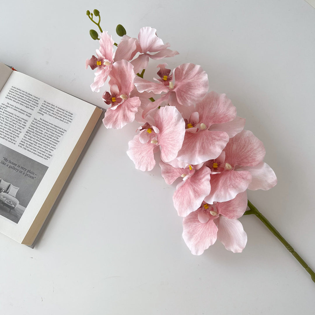 Realistic Orchid Floral Stem