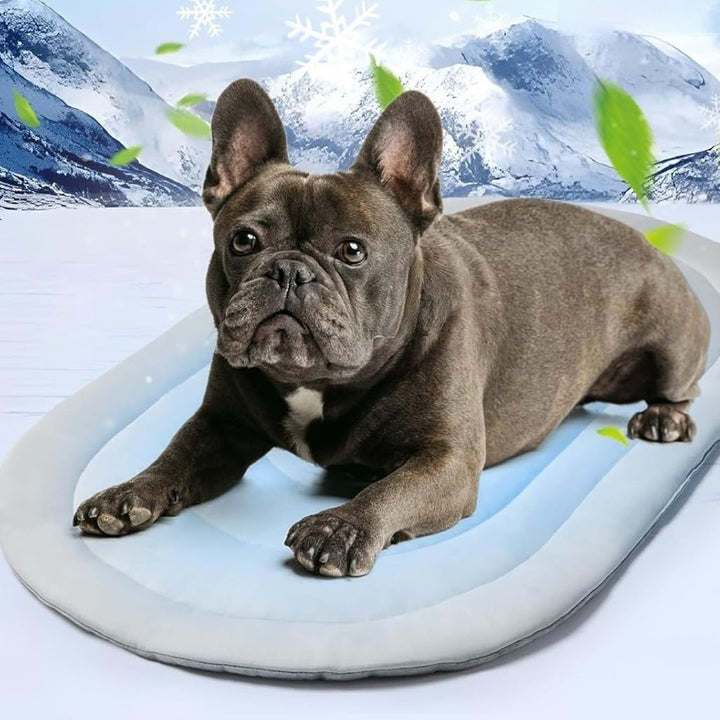 Unisex Pet Bed with Ergonomic Padding Stornfield