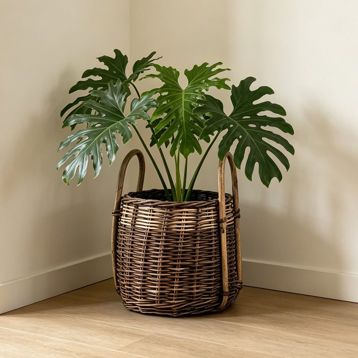 Natural woven storage basket Stornfield
