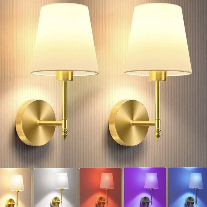 Elegant Wall Light Fixture
