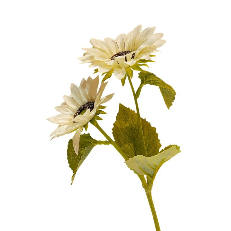 Decorative Sunflower Stornfield