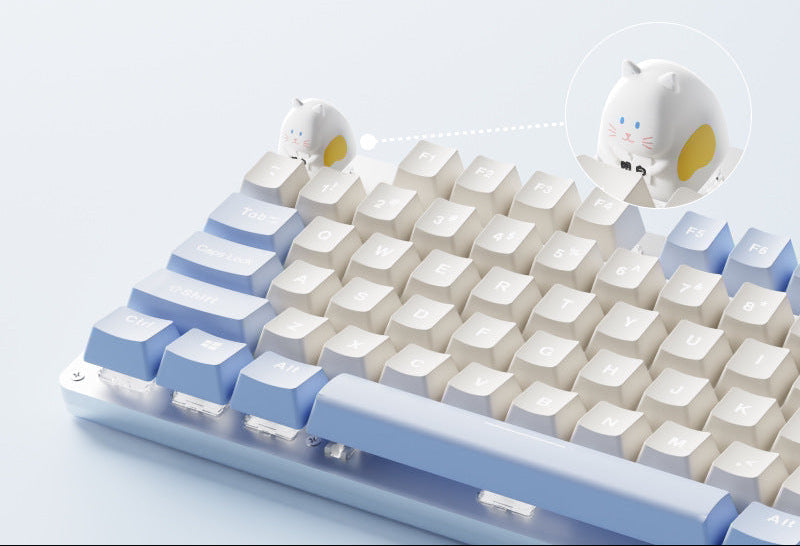 Keyboard Accessory Stornfield