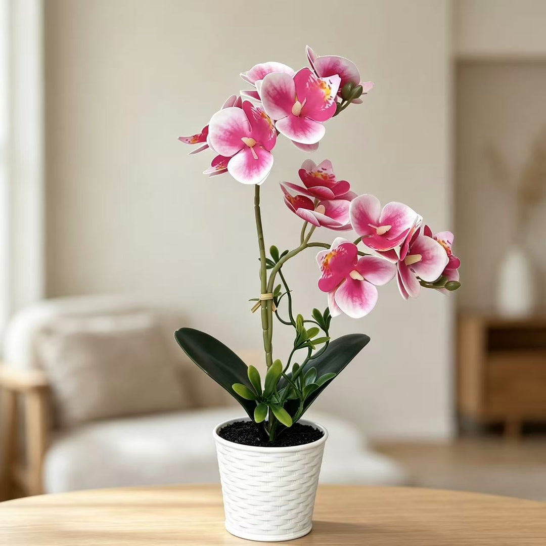 Artificial Orchid Arrangement for Decorative Indoor Display