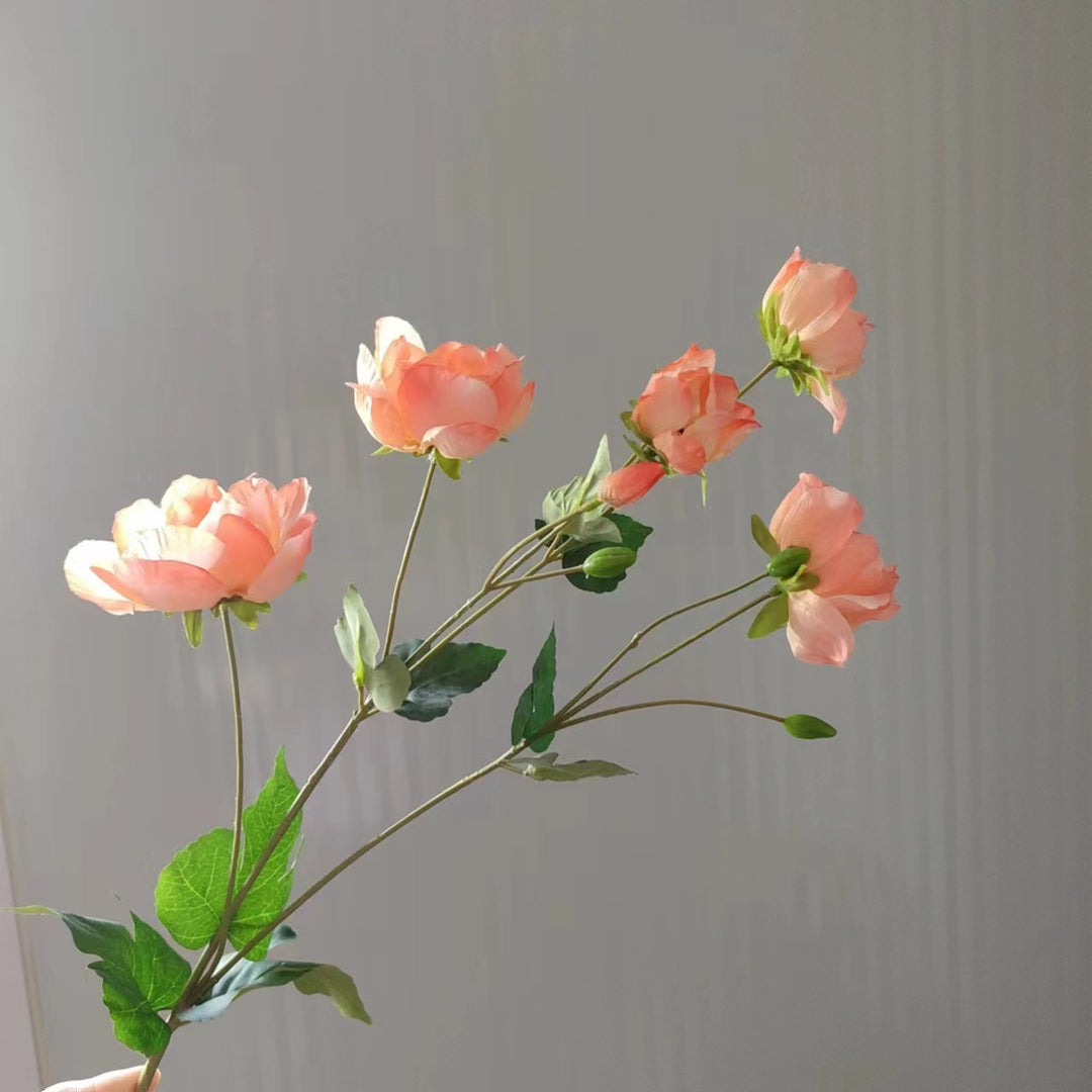 Elegant Peony Stem
