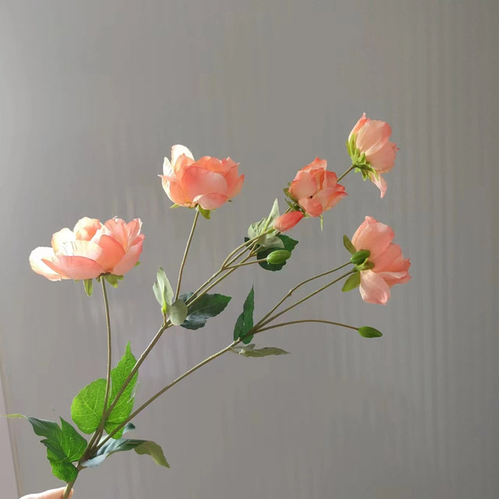 Elegant Peony Stem