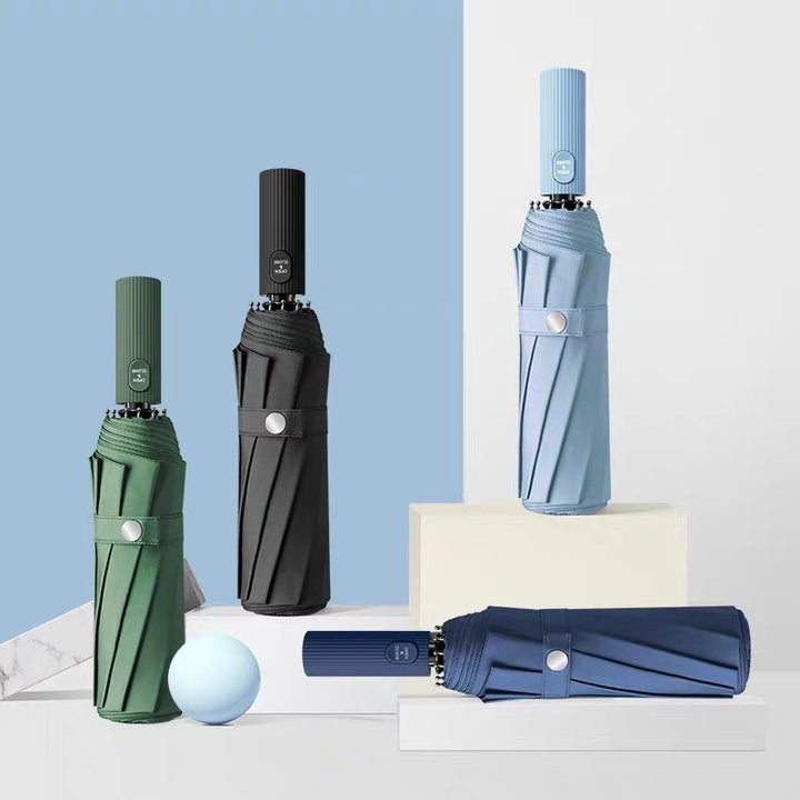 Women's wind-resistant automatic umbrella Stornfield