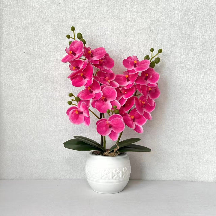 Decorative Orchid for Tabletop Home Decor