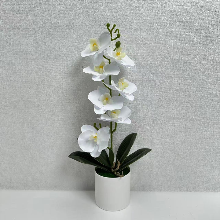 Lifelike Decorative Orchid Plant for Indoor Display