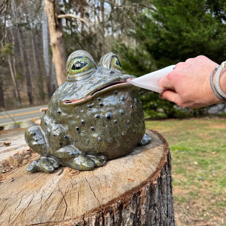 Decorative frog figure with toothbrush holder Stornfield