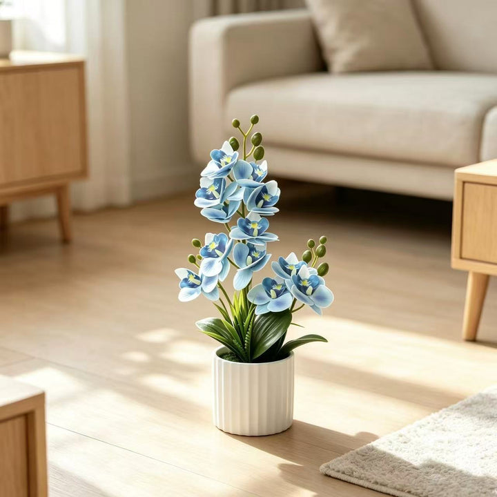 Realistic Indoor Orchid Plant Arrangement