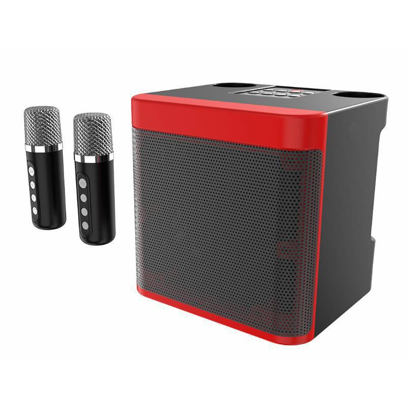 Dual Microphone Karaoke Speaker Stornfield