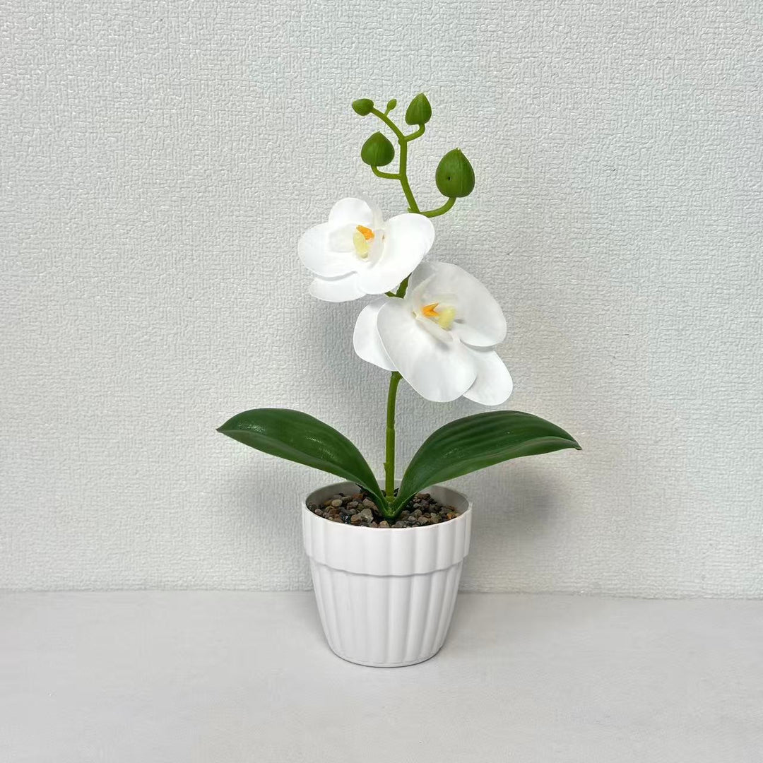 Lifelike Orchid Plant in Decorative Ceramic Pot for Decor