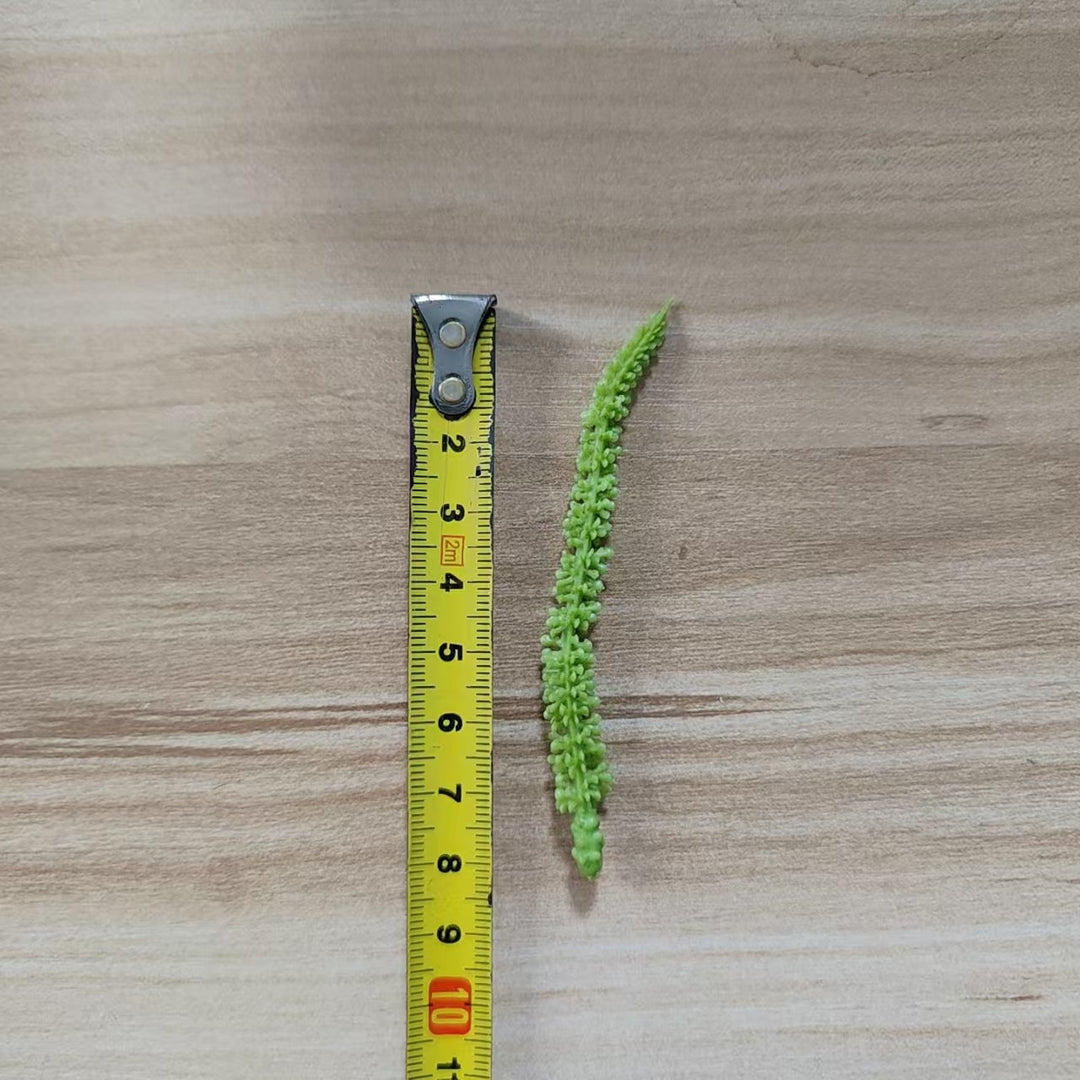 Gardening Tool