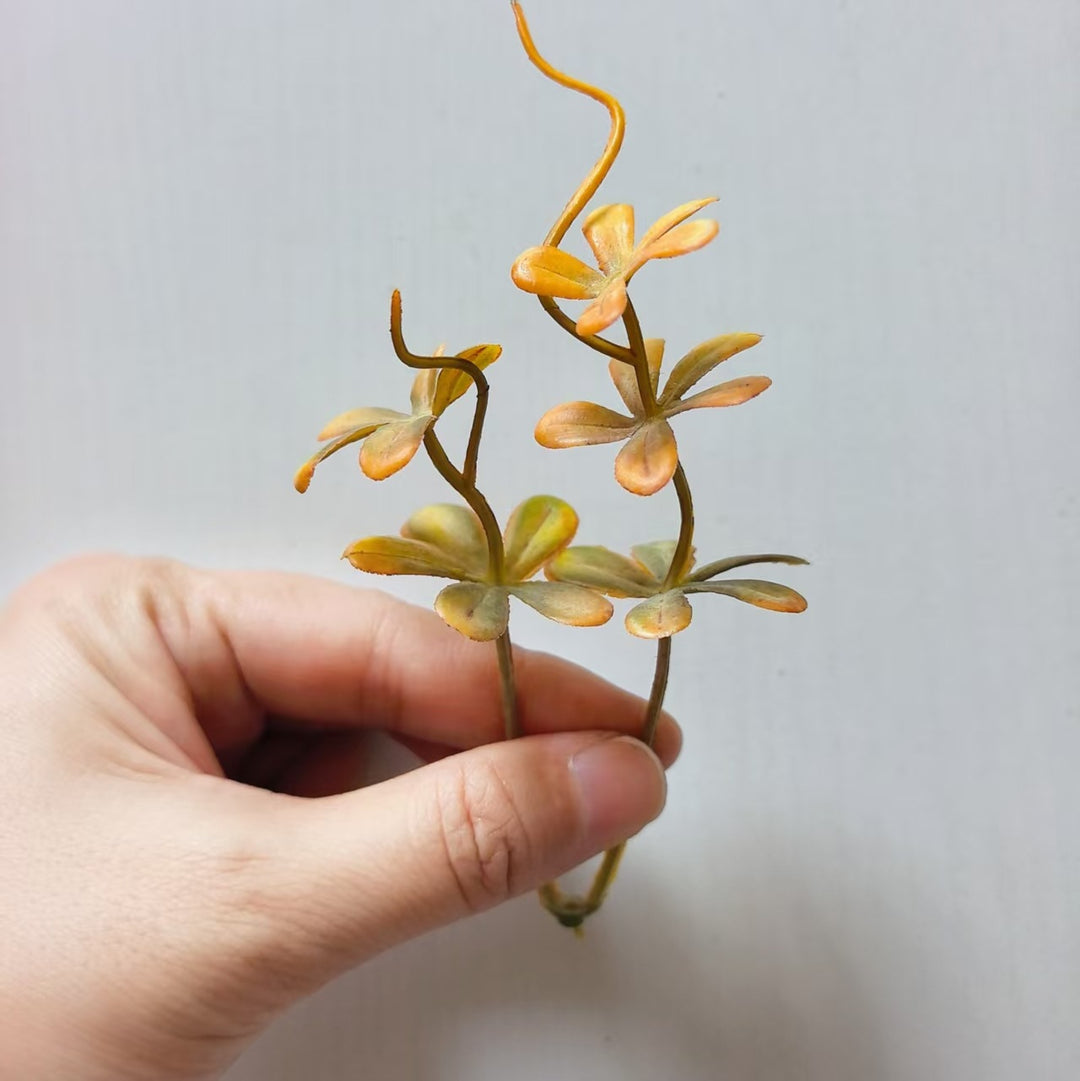 Decorative Succulent Arrangement