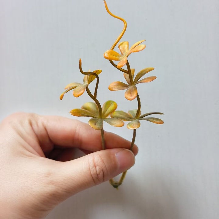 Decorative Succulent Arrangement