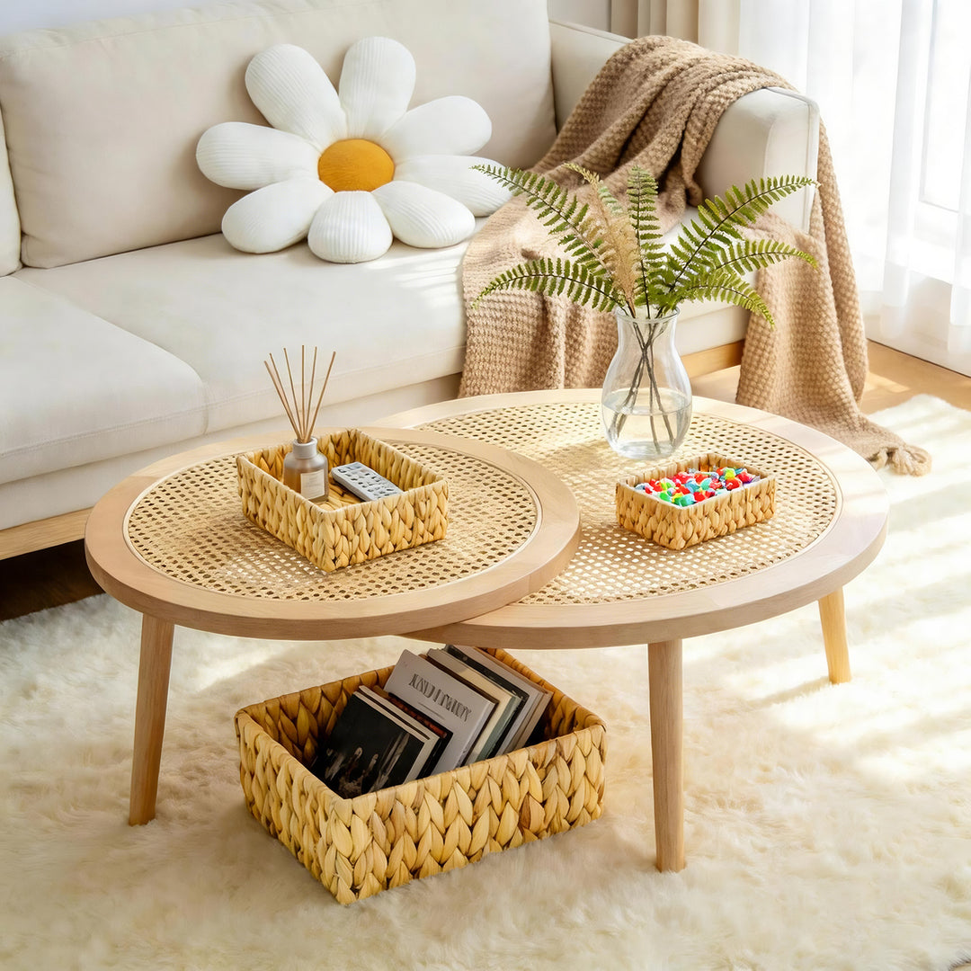 Multi-Compartment Woven Storage Organizer Stornfield