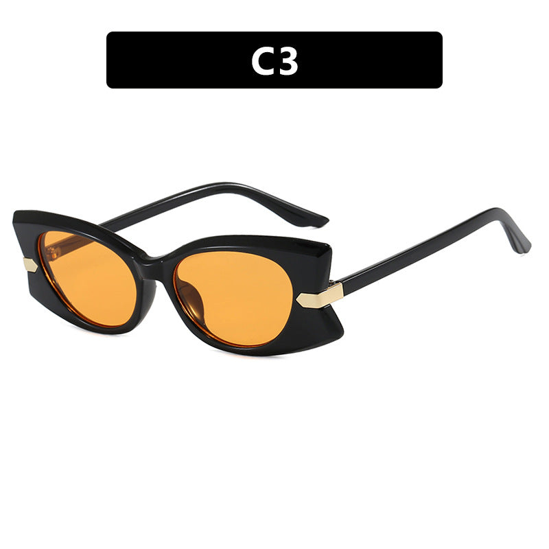 Women's Cat-Eye Sunglasses with stylish metal inserts and UV protection Stornfield