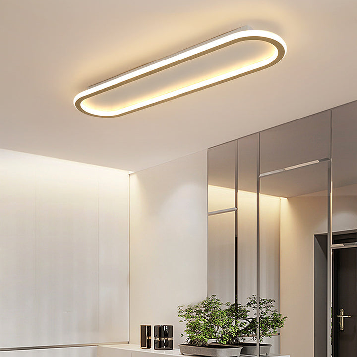 Modern Oval LED Ceiling Fixture