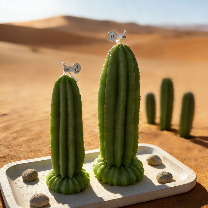 Unique Decorative Candle Holder
