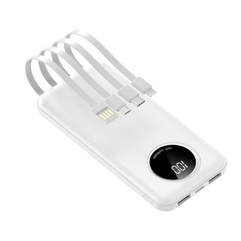 Powerbank with Multiple Connection Options Stornfield