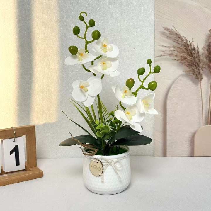 Home Décor Artificial Orchid for Indoor Decorative Display