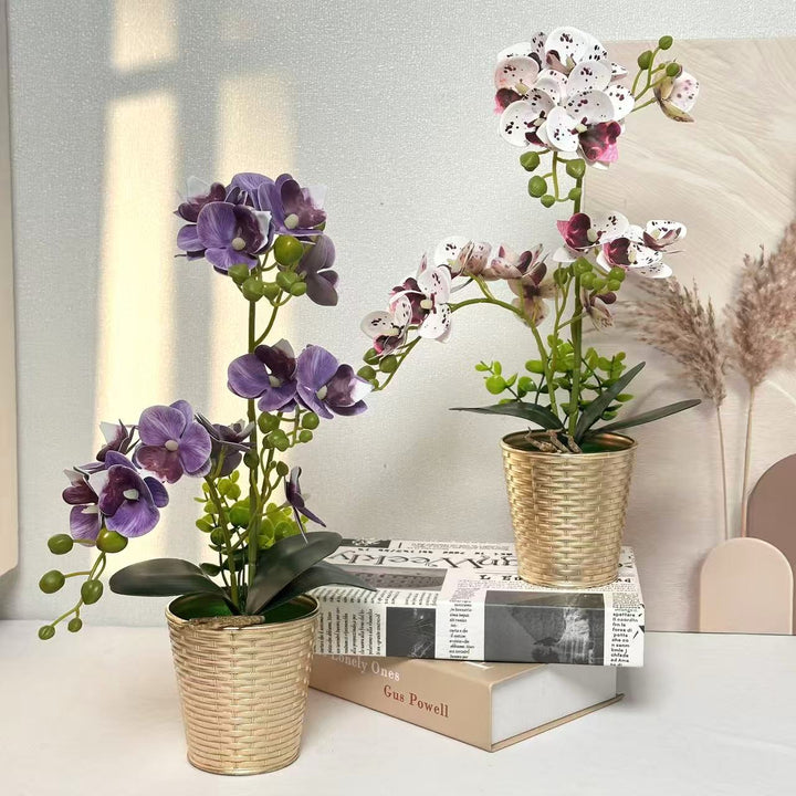 Decorative Orchid Plant for Tabletop Home Decor