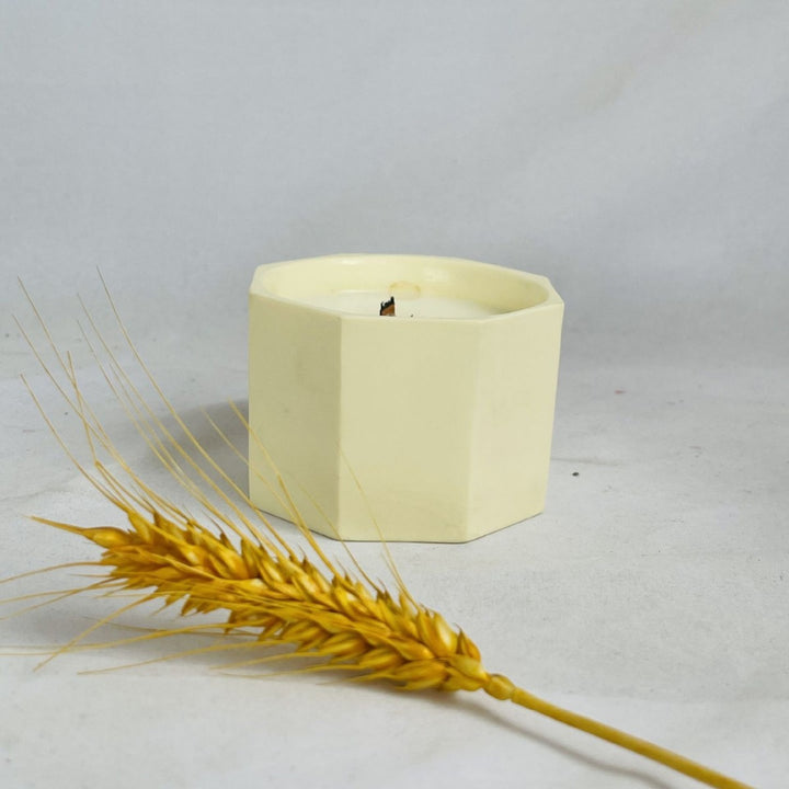 Geometric Ceramic Planter Stornfeild