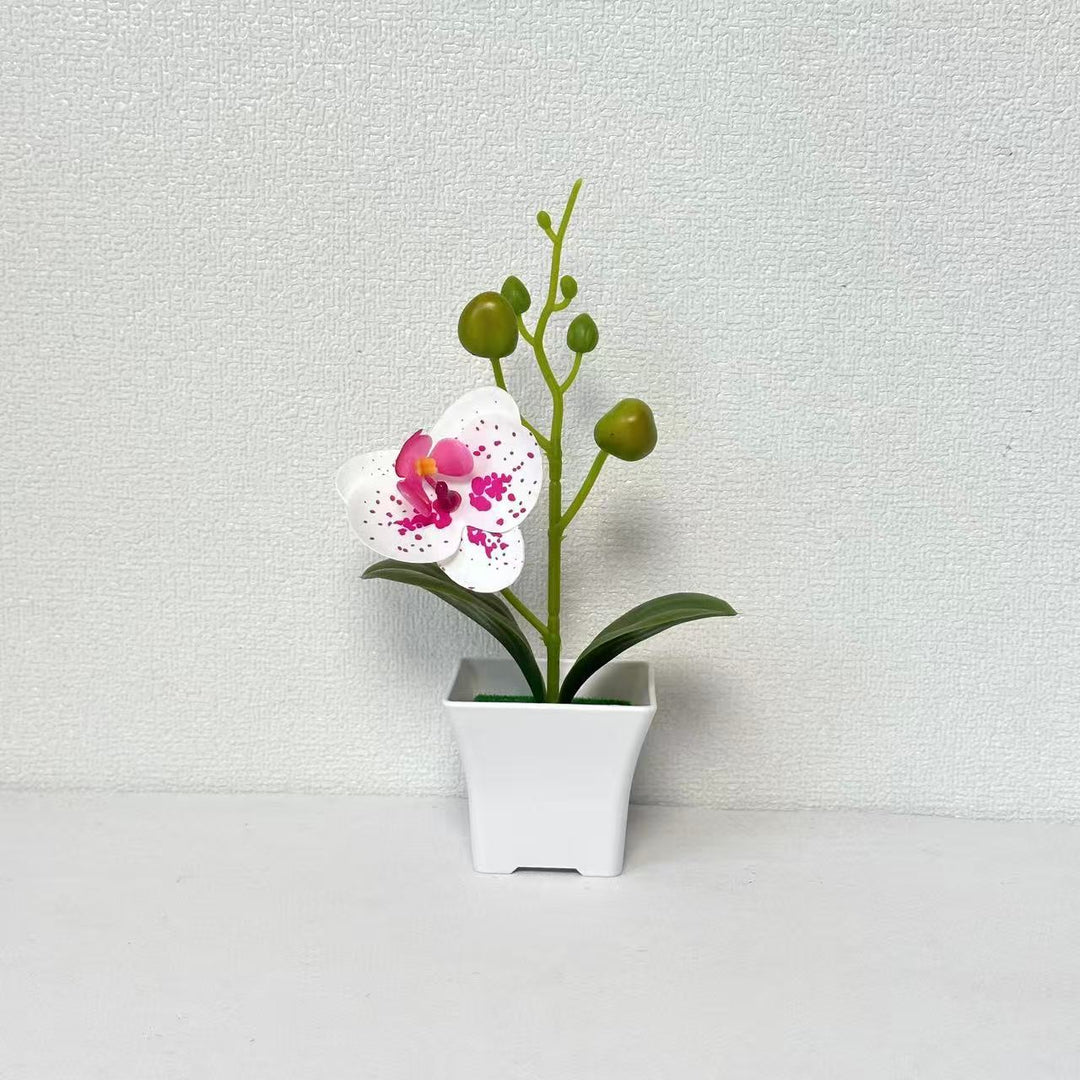 Lifelike Miniature Orchid Plant