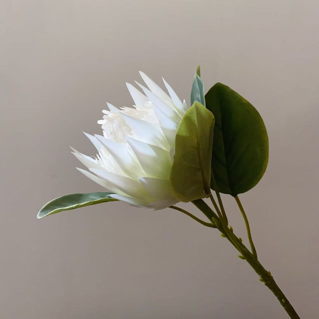 Lifelike Decorative Protea Flower Stem