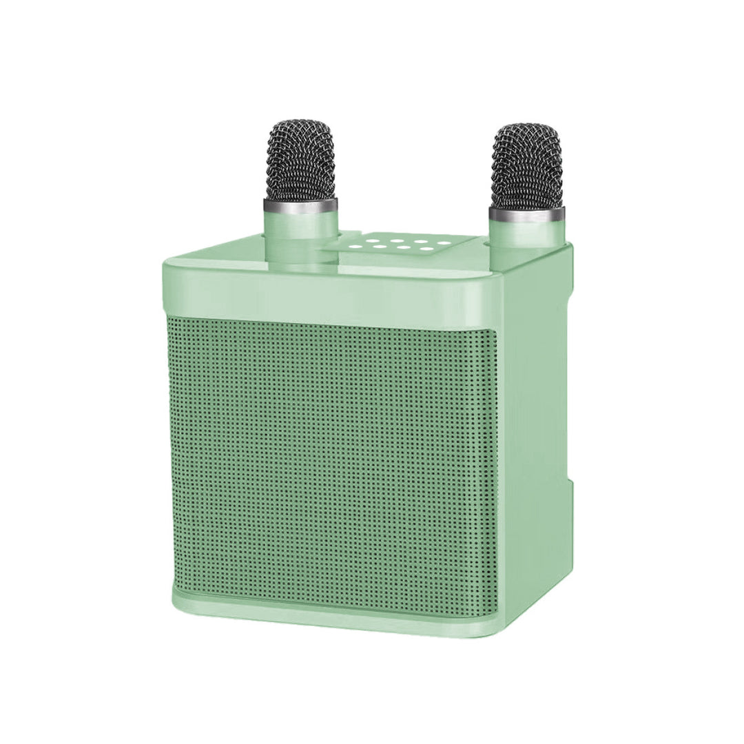 Portable Karaoke Sound System Stornfield