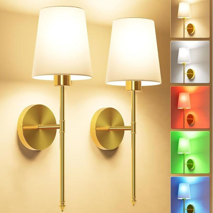 Elegant Wall Sconce