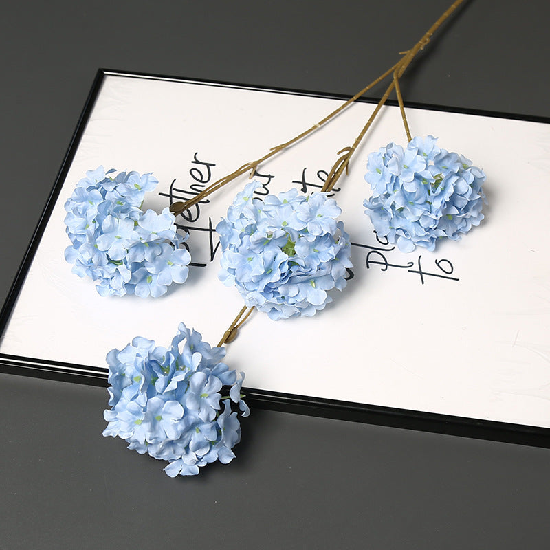 Decorative Dried Floral Stem for Home Decor