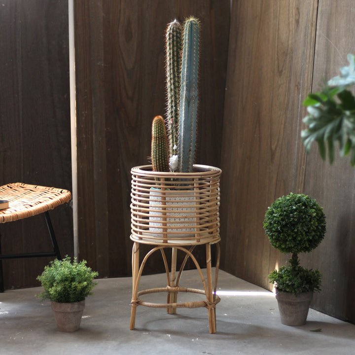 Decorative Plant Table Stornfield
