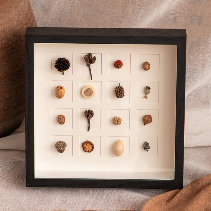 Botanical Specimen Display Frame