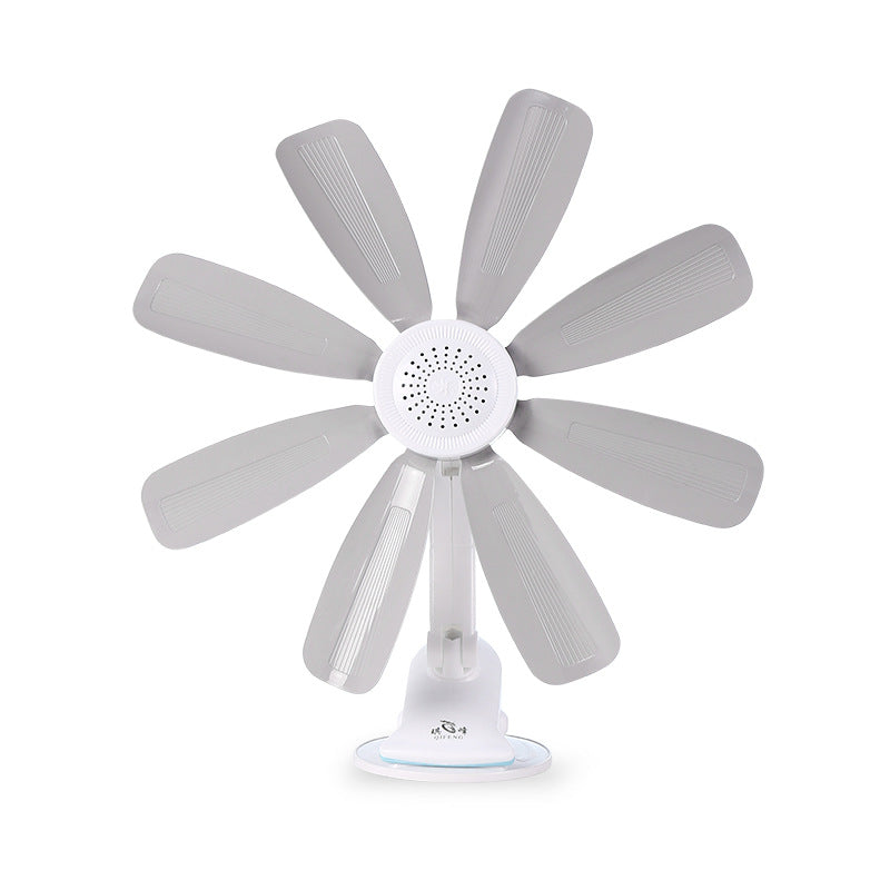 Ladies Stand Fan Stornfield